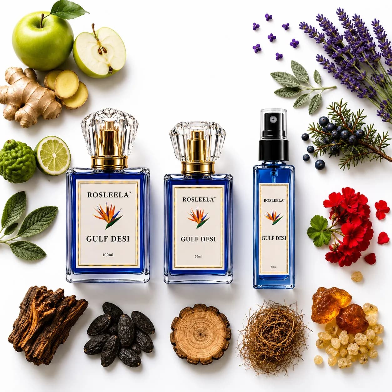 Gulf Desi Men's Perfume | Fresh Woody Citrus Aromatic Fragrance(50ml) - Image 3